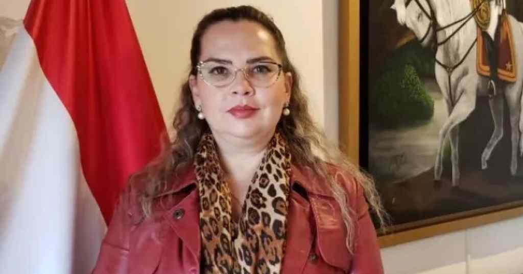 De auditoría a imputación: una excónsul quedó en la mira
